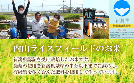 令和5年産 新潟県認証特別栽培米 コシヒカリ10kg