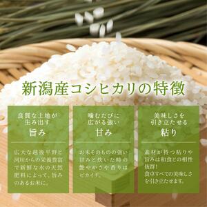 無洗米新潟産コシヒカリセット 5kg 産地直送