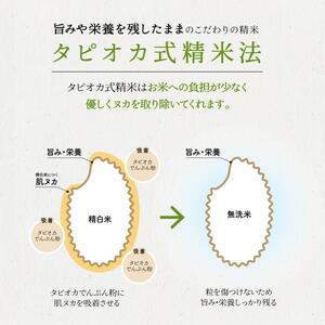 無洗米新潟産コシヒカリ6ヵ月定期 5kg