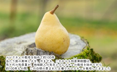 ルレクチェストレートジュース200ml 6本セット ルレクチェ レクチェ ル・レクチェ 洋梨 フルーツ ジュース セット ストレートジュース 洋ナシ 梨 なし ナシ 果物 飲料 果実飲料 果汁飲料 国産 新潟 