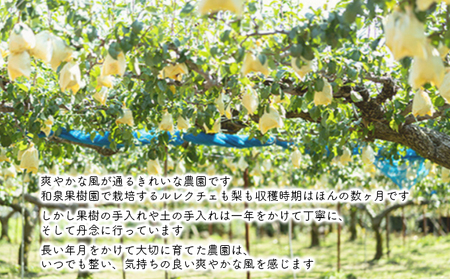 ルレクチェストレートジュース200ml 6本セット ルレクチェ レクチェ ル・レクチェ 洋梨 フルーツ ジュース セット ストレートジュース 洋ナシ 梨 なし ナシ 果物 飲料 果実飲料 果汁飲料 国産 新潟 