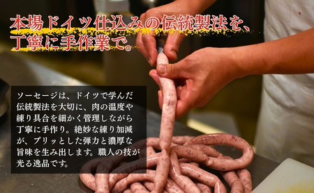 メッツゲライテラ セレクトファイブ お肉 豚肉 ハム ソーセージ ジューシー ドイツのスパイス 詰め合わせ 惣菜 サラダ おつまみ