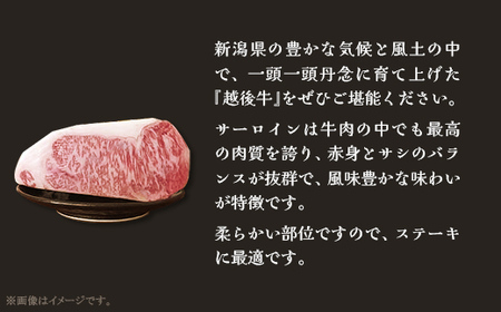 63-42B新潟県産 越後牛サーロインブロック1kg