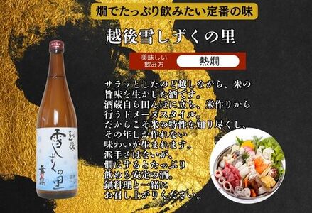 C1-B5A越後銘門酒会 長岡の銘酒飲み比べセット720ml×5本(久保田・吉乃川・越乃中川・潟・雪しずく)