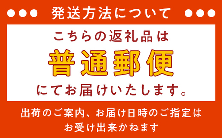 NCD【12回お届け】「ながおか 市政だより」長岡市広報紙　年間購読