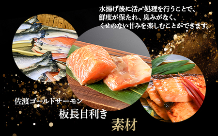 66-17A美味極上　佐渡ゴールドサーモンの長岡越後味噌漬 8切入