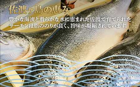 66-17A美味極上　佐渡ゴールドサーモンの長岡越後味噌漬 8切入