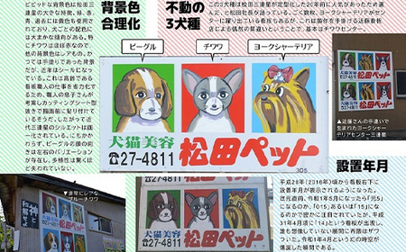 O3-01例の看板フォトグラフ・コレクション 令和二版