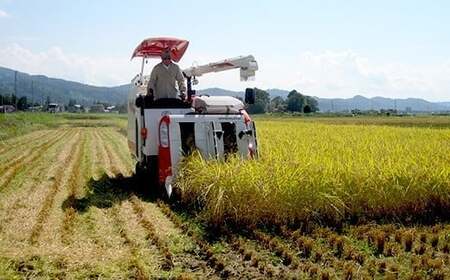 75-7N031新潟県長岡産コシヒカリ3kg(特別栽培米)【2026年2月発送】
