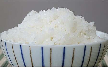 B7-7K101A新潟県魚沼産（長岡川口地域）コシヒカリ10kg