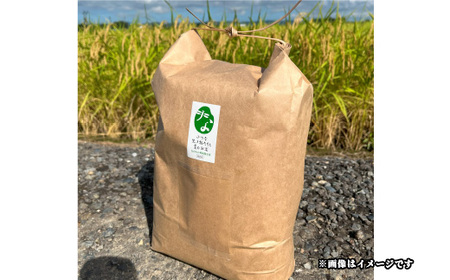 25-7SC101【精米】新潟県長岡産コシヒカリ10kg【「小さな生き物たちと育むお米」認証品】