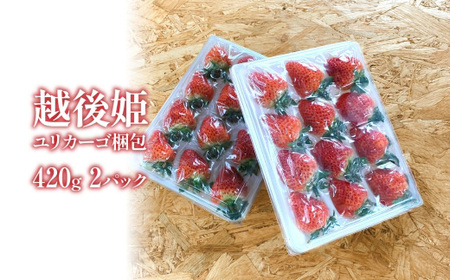 O9-13新潟県長岡産いちご「越後姫」420g 2パック