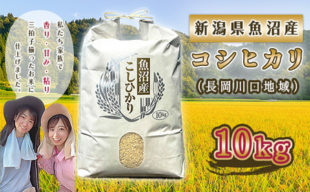P4-02新潟県魚沼産コシヒカリ（長岡川口地域） 10kg 25,550円
