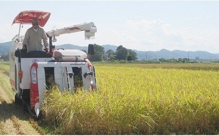 75-3K101新潟県長岡産特別栽培米こしいぶき10kg（5kg×2袋）