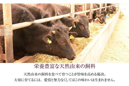 76-70新潟県産牛（長岡産）サーロイン2kgブロック
