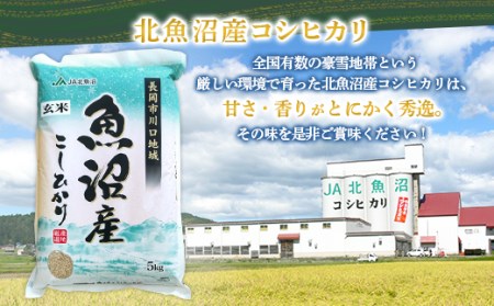 5F10-1【玄米】北魚沼産コシヒカリ10kg（長岡川口地域）