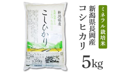 B7-26新潟県長岡産コシヒカリ（特栽・慣行）セット10kg（5kg×2）