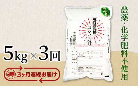 E1-06【3ヶ月連続お届け】新潟県産米コシヒカリ5kg