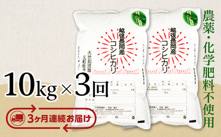 E1-07【3ヶ月連続お届け】新潟県産米コシヒカリ10kg