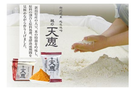 B1-03醸造蔵「星野本店」米こうじ味噌3種とかぐら南蛮味噌