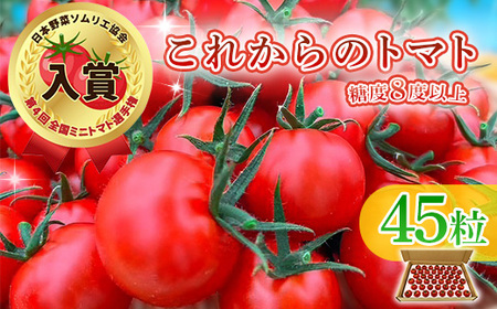 Q0-01これからのトマト 45粒