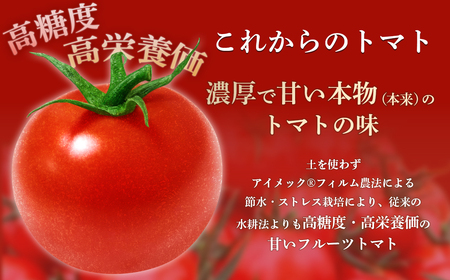Q0-02これからのトマト プレミアム 45粒