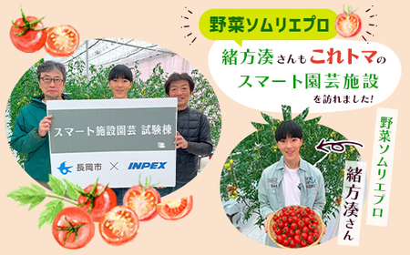 Q0-02これからのトマト プレミアム 45粒