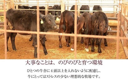 76-75新潟県産牛（長岡産）肩ローススライス300g（すきやき・しゃぶしゃぶ用）