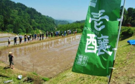 H4-04A壱醸 純米大吟醸 無濾過原酒21 720ml（長岡市旧栃尾地区棚田産越淡麗100%）【越銘醸】