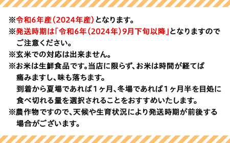 75-6N083【3ヶ月連続お届け】新潟県長岡産コシヒカリ8kg（特別栽培米）