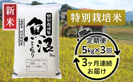 94-6K53【3ヶ月連続お届け】特別栽培米 新潟県魚沼産コシヒカリ（長岡川口地域）5kg