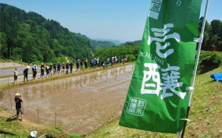 H4-14壱醸　粕取り焼酎三年貯蔵 25度