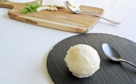 69-33B酒粕ジェラート 4Lプレーンバット