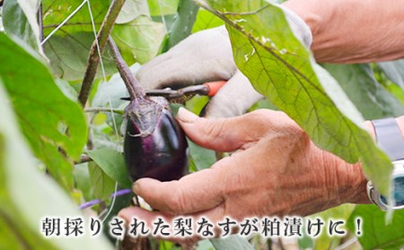 81-19梨なすの黄金漬（3個入×5袋）