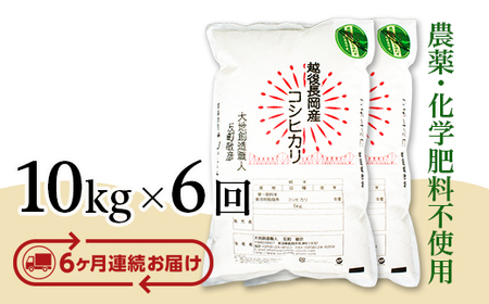 E1-13【6ヶ月連続お届け】新潟県長岡産コシヒカリ10kg
