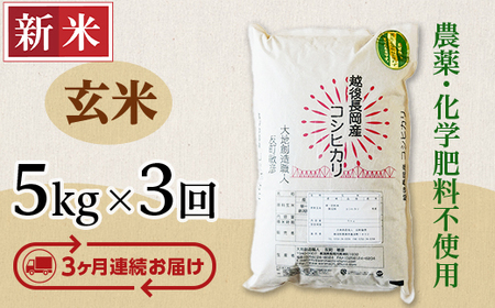 E1-14【3ヶ月連続お届け】新潟県長岡産コシヒカリ玄米5kg