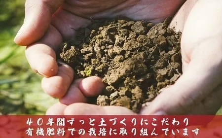 J8-7N056A【6ヶ月連続お届け】新潟県長岡産コシヒカリ5kg（特別栽培米）