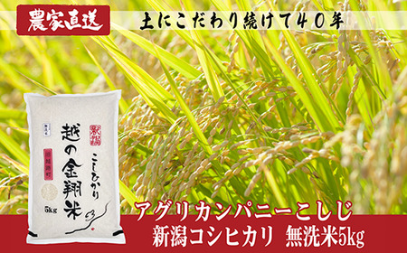 J8-5MN051【越の金翔米】新潟県長岡産コシヒカリ無洗米5kg（特別栽培米）
