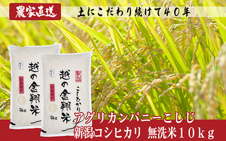 J8-5MN101【越の金翔米】新潟県長岡産コシヒカリ無洗米10kg（特別栽培米）