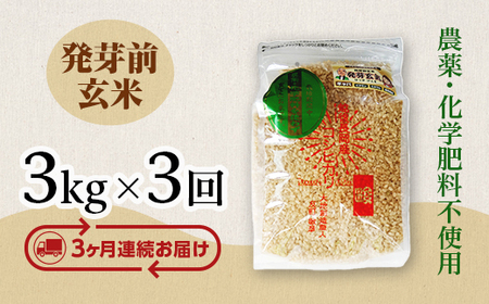 E1-19【3ヶ月連続お届け】新潟県長岡産コシヒカリ 発芽前玄米 3kg