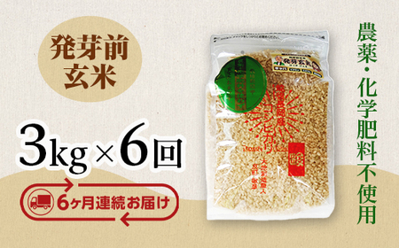E1-20【6ヶ月連続お届け】新潟県長岡産コシヒカリ 発芽前玄米 3kg