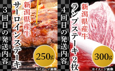 76-73A【5ヶ月連続お届け】牛肉食べ尽くし定期便