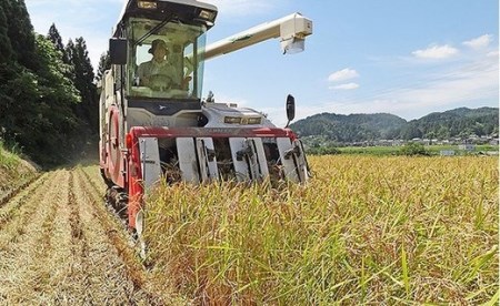 48-N053【3ヶ月連続お届け】新潟県長岡産特別栽培米コシヒカリ5kg