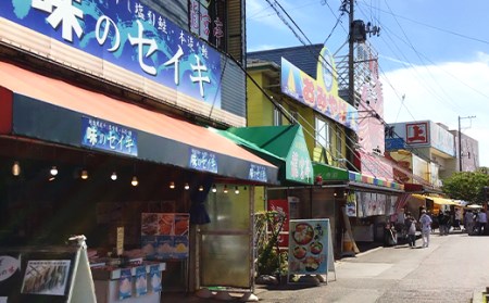 46-03A寒風干し 塩引き鮭(6切れ)