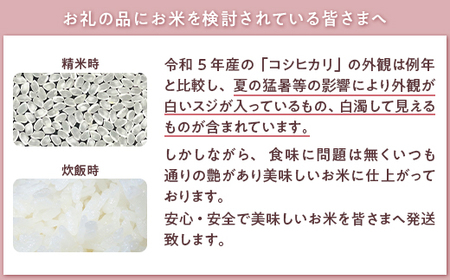 A4-01新潟県長岡産コシヒカリ・新之助　各5kg食べ比べセット