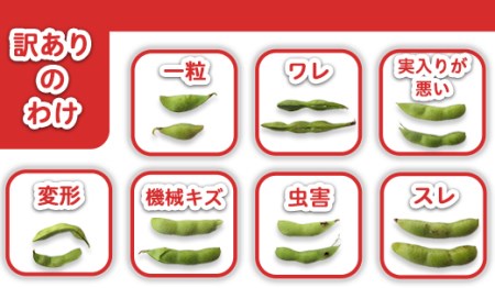 75E-BY5A【訳あり】新潟長岡産枝豆湯あがり娘5.0kg【B品】