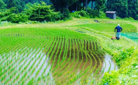 H4-60B純米大吟醸 ドメーヌ越の鶴 1800ml【越銘醸株式会社】(2026年5月上旬以降発送)