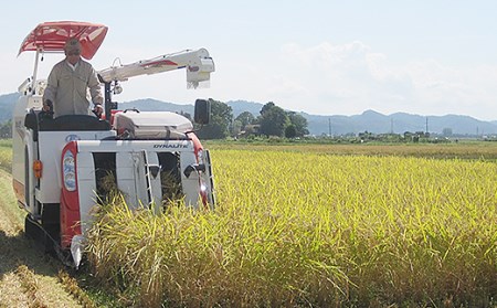 75-3K106【6ヶ月連続お届け】新潟県長岡産特別栽培米こしいぶき10kg（5kg×2袋）