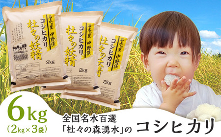 43-03杜々の妖精コシヒカリ6kg(2kg×3袋)全国名水百選栃尾産