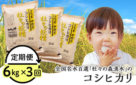 43-05【3ヶ月連続お届け】杜々の妖精コシヒカリ6kg(2kg×3袋)全国名水百選栃尾産